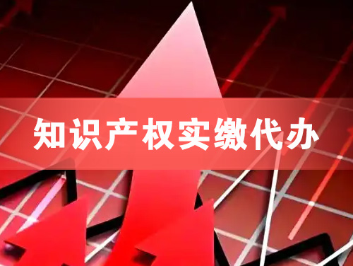 阆中知识产权实缴资本代办